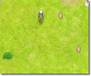 Jeux d animaux en ligne gratuits: Cowboy a cheval