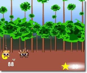 Jeux d animaux en ligne gratuits: Raton laveur